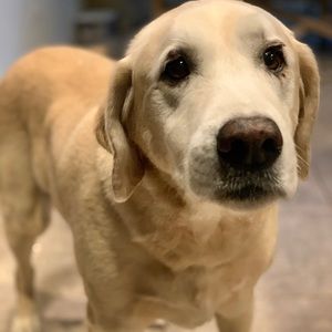 Meet your Posher, Jim